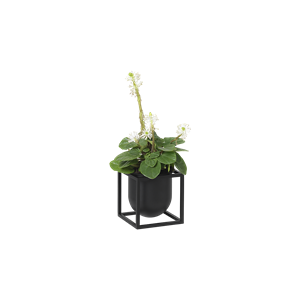 Audo Cube Flowerpot 10 Black
