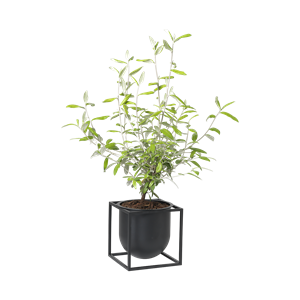 Audo Kubus Flowerpot 14 Black