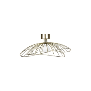 Globen Lighting Ray Ceiling Light/ Wall Lamp Brushed Brass