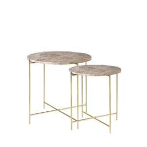 Cozy Living Freja Coffee Table Set of 2 Marble/Caramel/ Brass