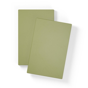 Department Shelf For Large Cabinet With 1 Door Set of 2 Moss