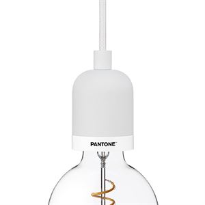 PANTONE Castor D25 Pendant Lamp Color Black Beauty for sale online 