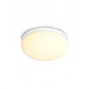 Philips Hue Flourish White Color Ambiance Ceiling Light