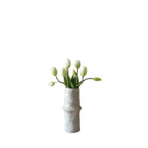 Botané Tulip Bouquet White