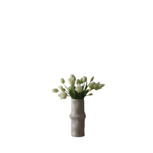 Botané Tulip Mixed Bouquet White