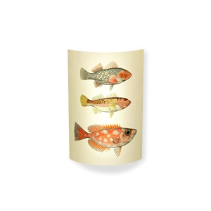 MagicoClaudio Moments Wall Lamp 3 Fish