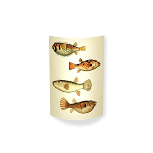 MagicoClaudio Moments Wall Lamp 4 Fish