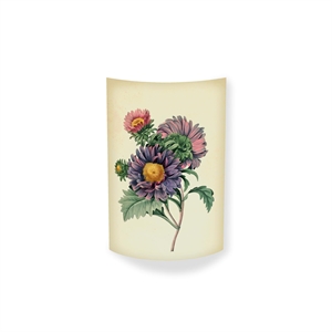 MagicoClaudio Moments Wall Lamp Aster Chinensis