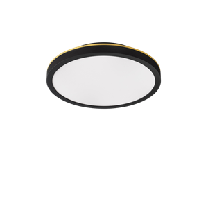 Edgeform Plafon 20 Ceiling Light Black/ Brass